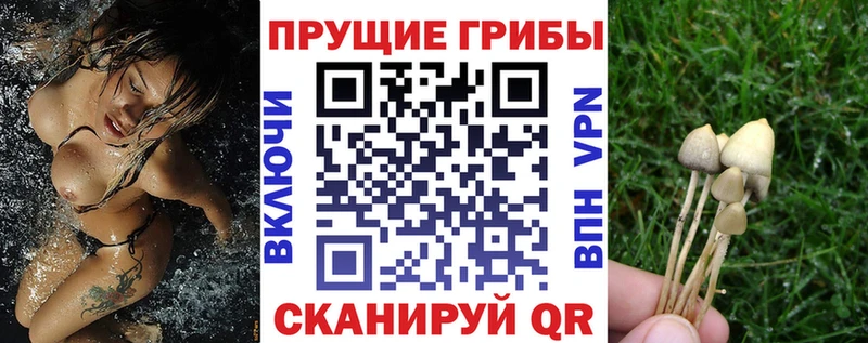 Галлюциногенные грибы мицелий  сайты даркнета телеграм  Сухой Лог 